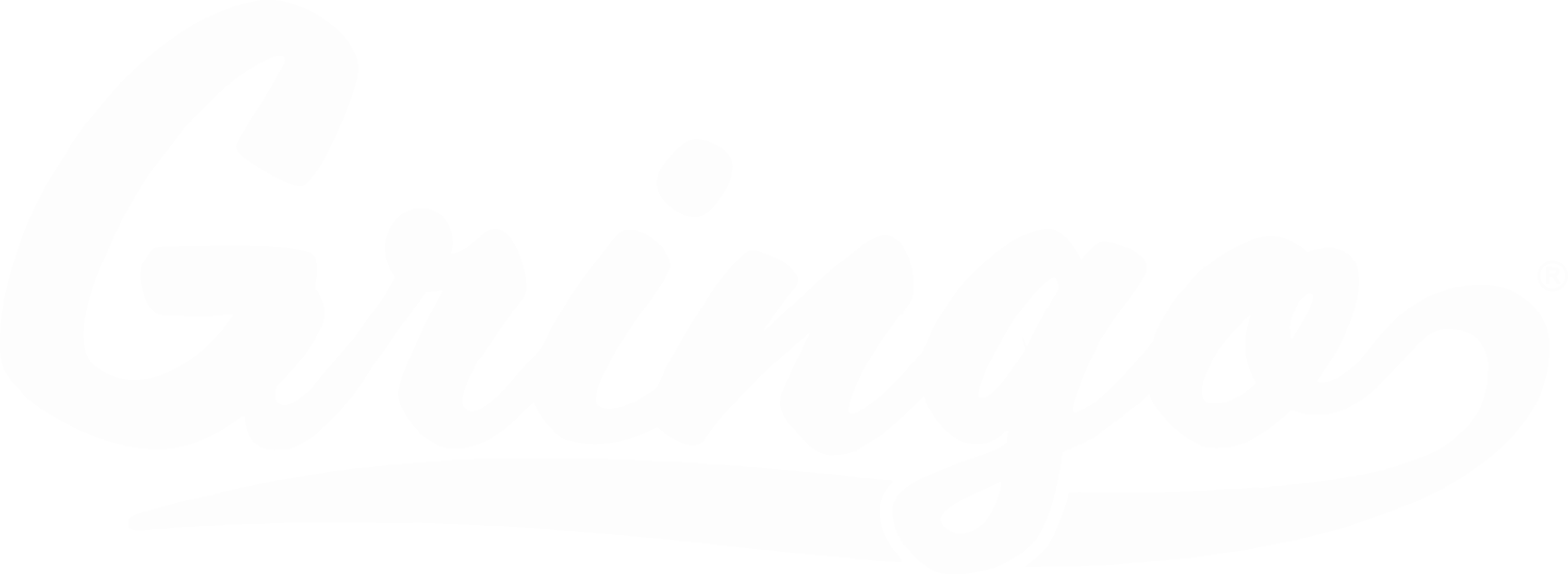 Gringo