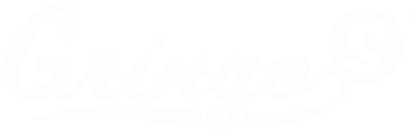 Gringo S